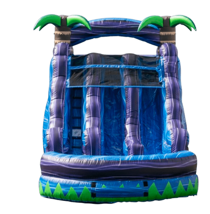 Purple Paradise Dual lane Water Slide